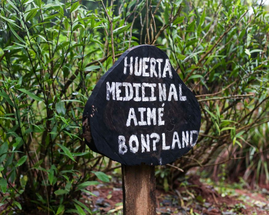 Horta medicinal Aimé Bonpland