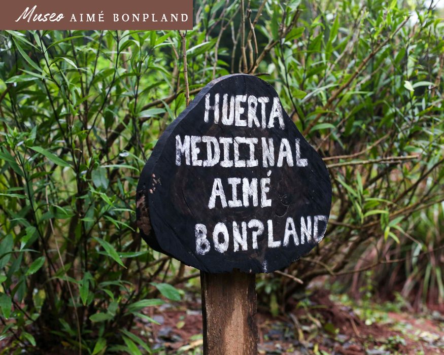 Museu Aimé Bonpland, horta medicinal