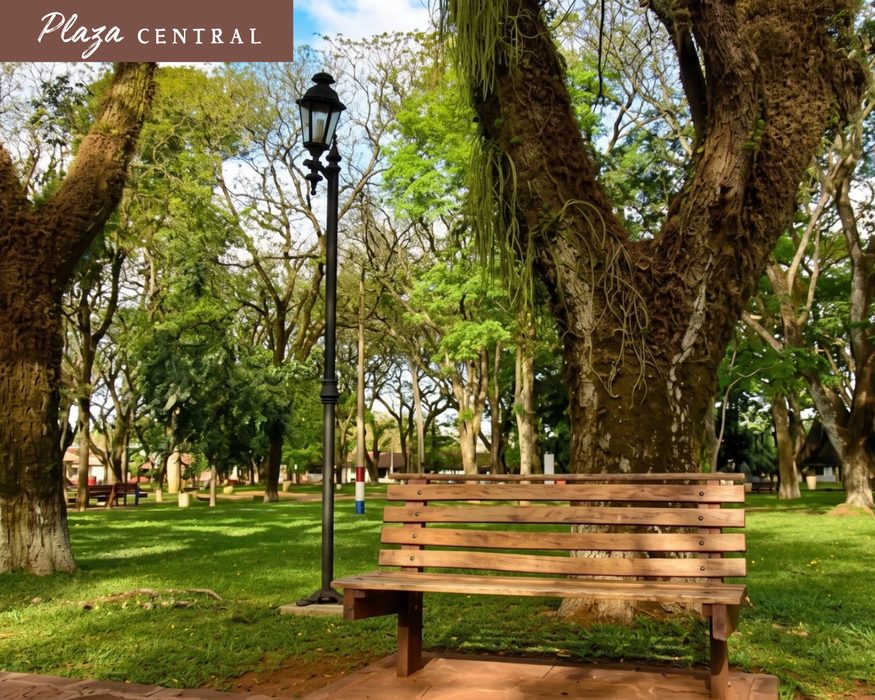Praça Central, banco sob as árvores