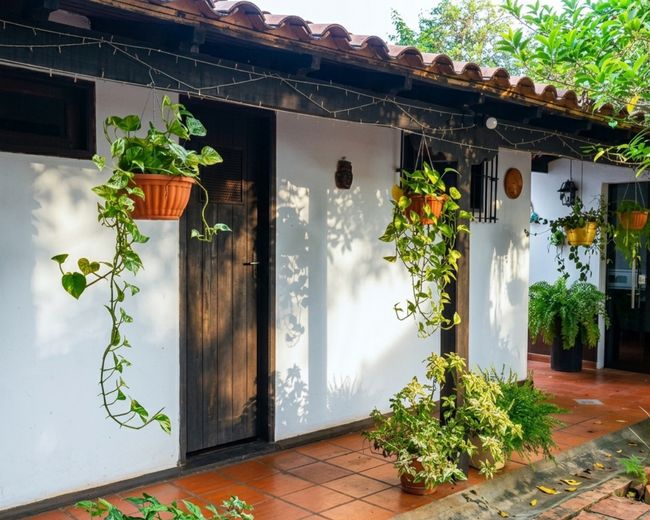 Corredor com plantas pendentes